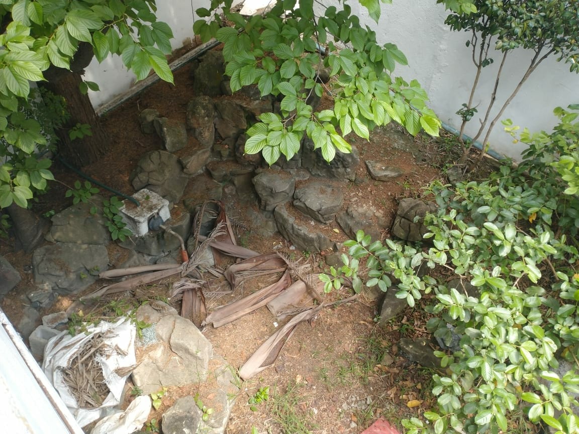 Prédio Inteiro, 306 m² - Foto 31