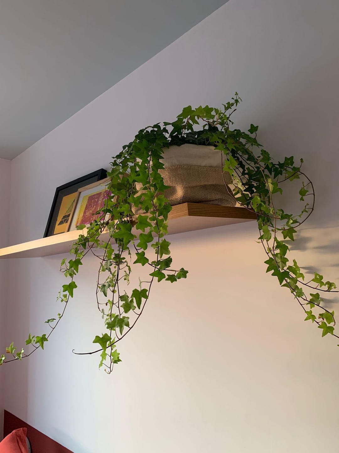 Apartamento, 1 quarto, 28 m² - Foto 11