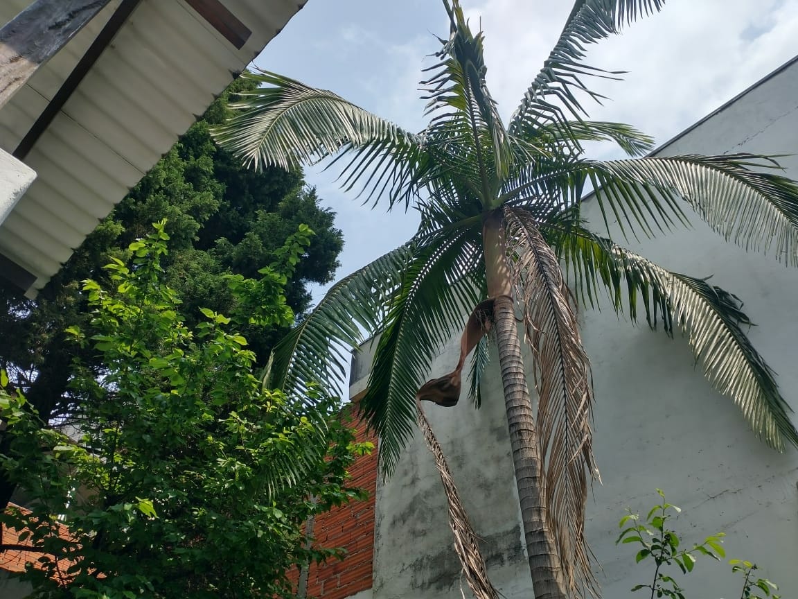 Prédio Inteiro, 306 m² - Foto 22