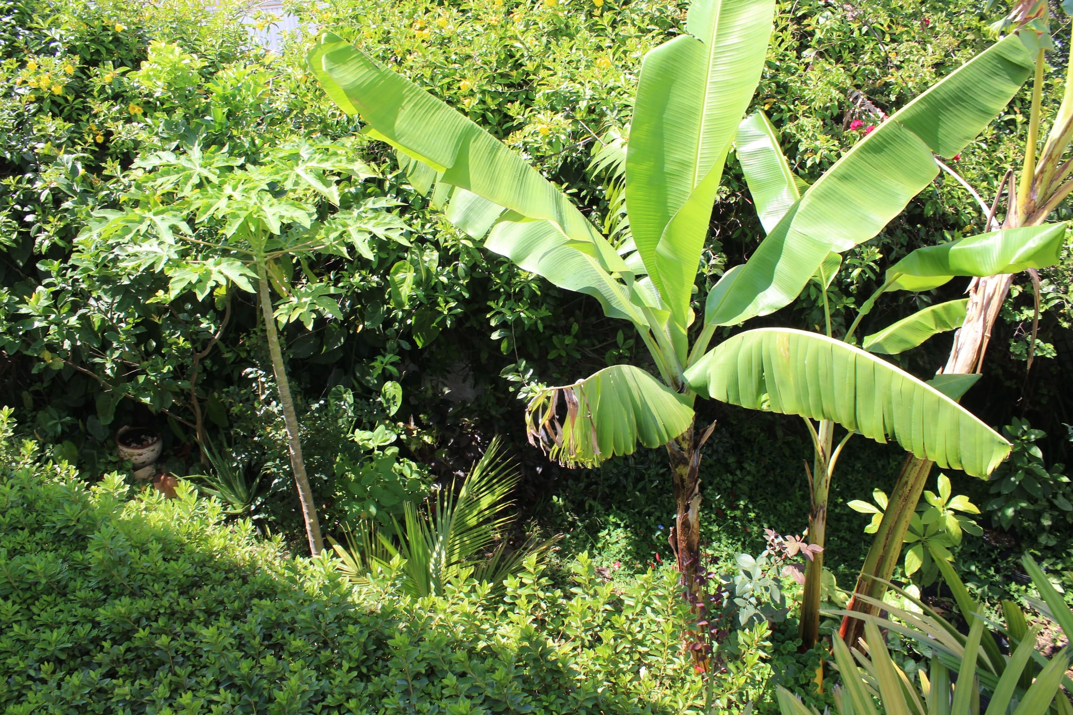 Casa, 4 quartos, 262 m² - Foto 2