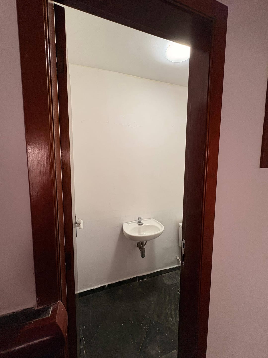 Casa, 4 quartos, 450 m² - Foto 5