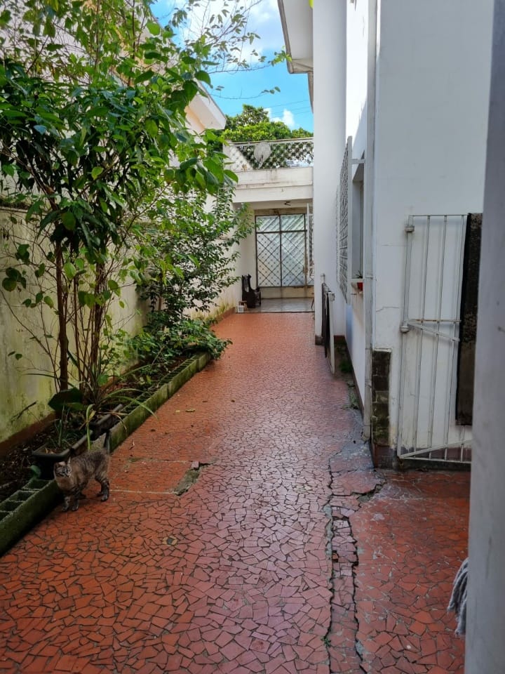 Casa, 4 quartos, 530 m² - Foto 11