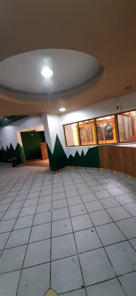 Casa, 4 quartos, 610 m² - Foto 6