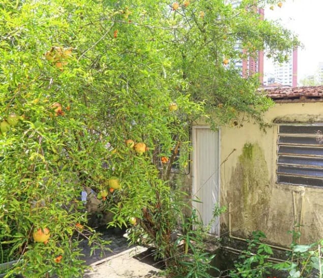 Casa, 4 quartos, 382 m² - Foto 4