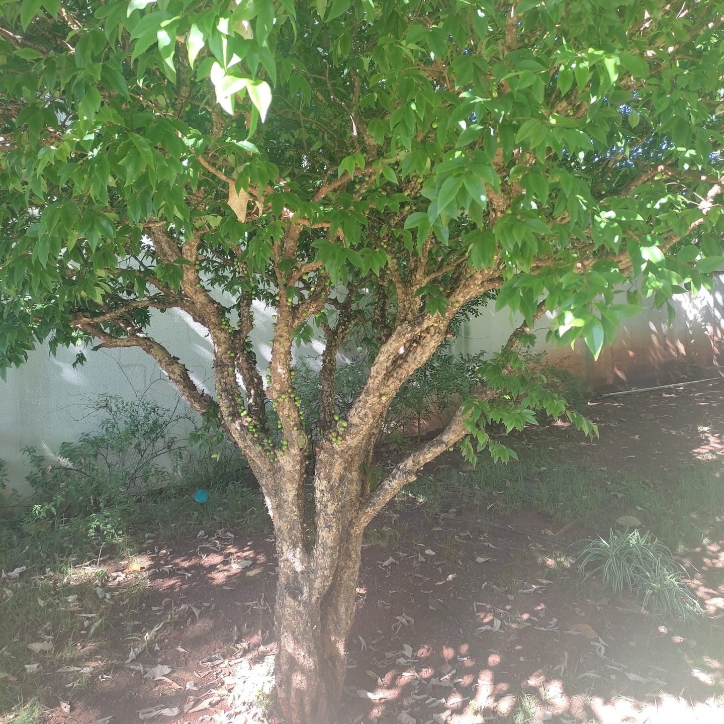 Apartamento, 2 quartos, 57 m² - Foto 25