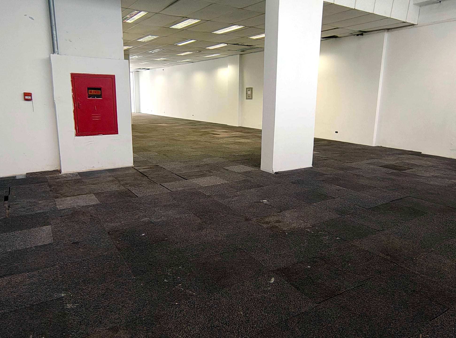 Loja-Salão, 230 m² - Foto 25