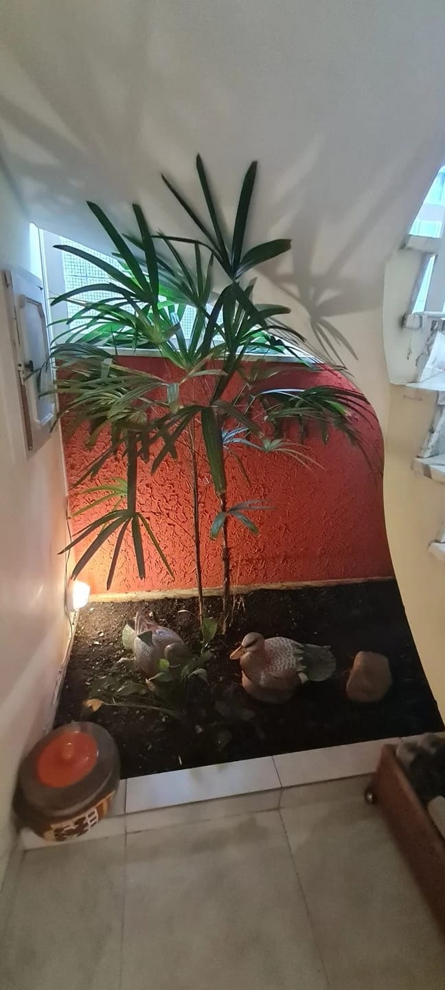 Casa, 4 quartos, 420 m² - Foto 20