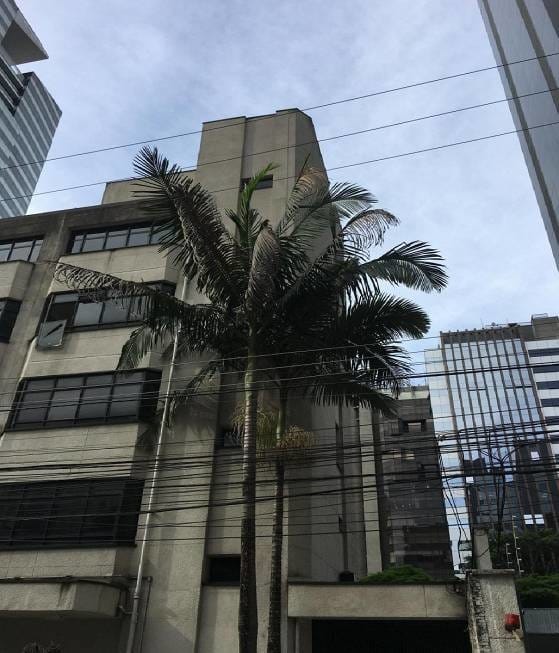 Prédio Inteiro, 900 m² - Foto 7