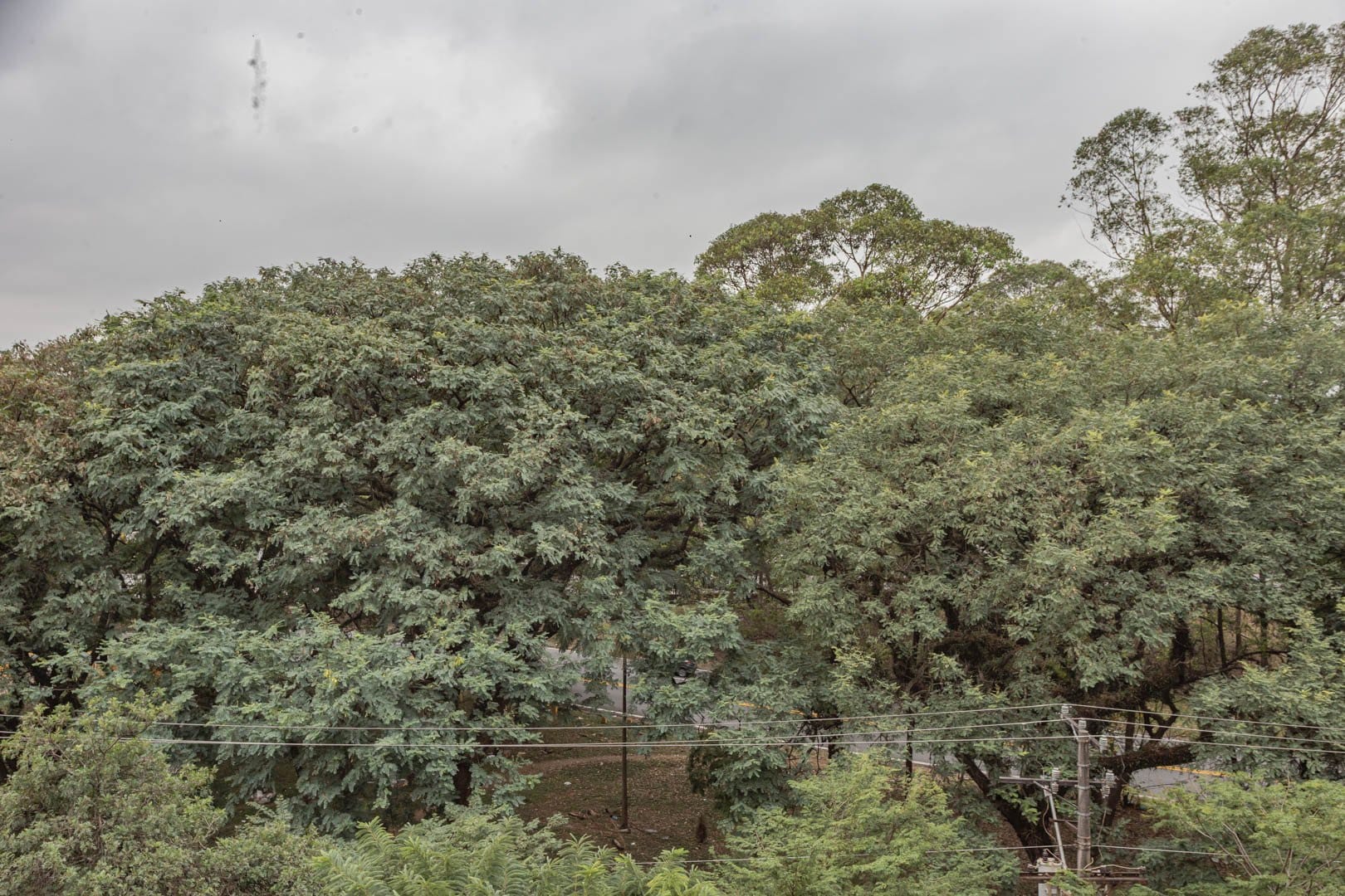 Apartamento, 2 quartos, 59 m² - Foto 61