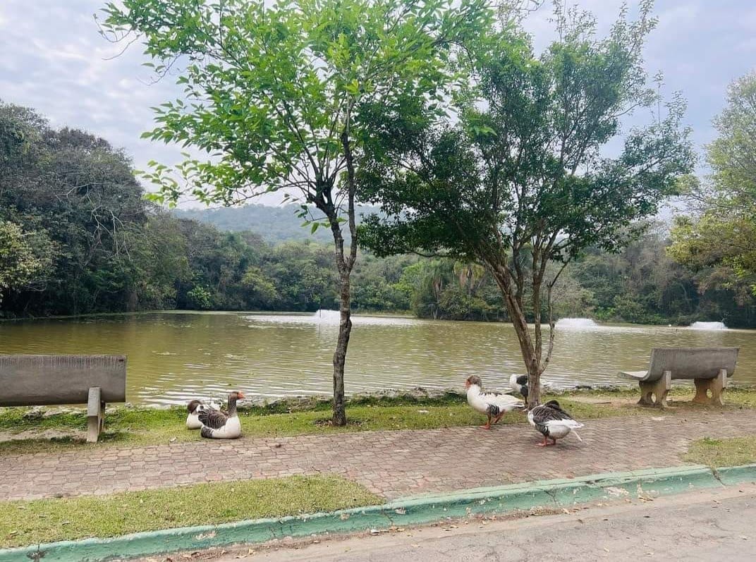 Casa, 3 quartos, 250 m² - Foto 59