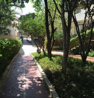 Apartamento, 4 quartos, 489 m² - Foto 15