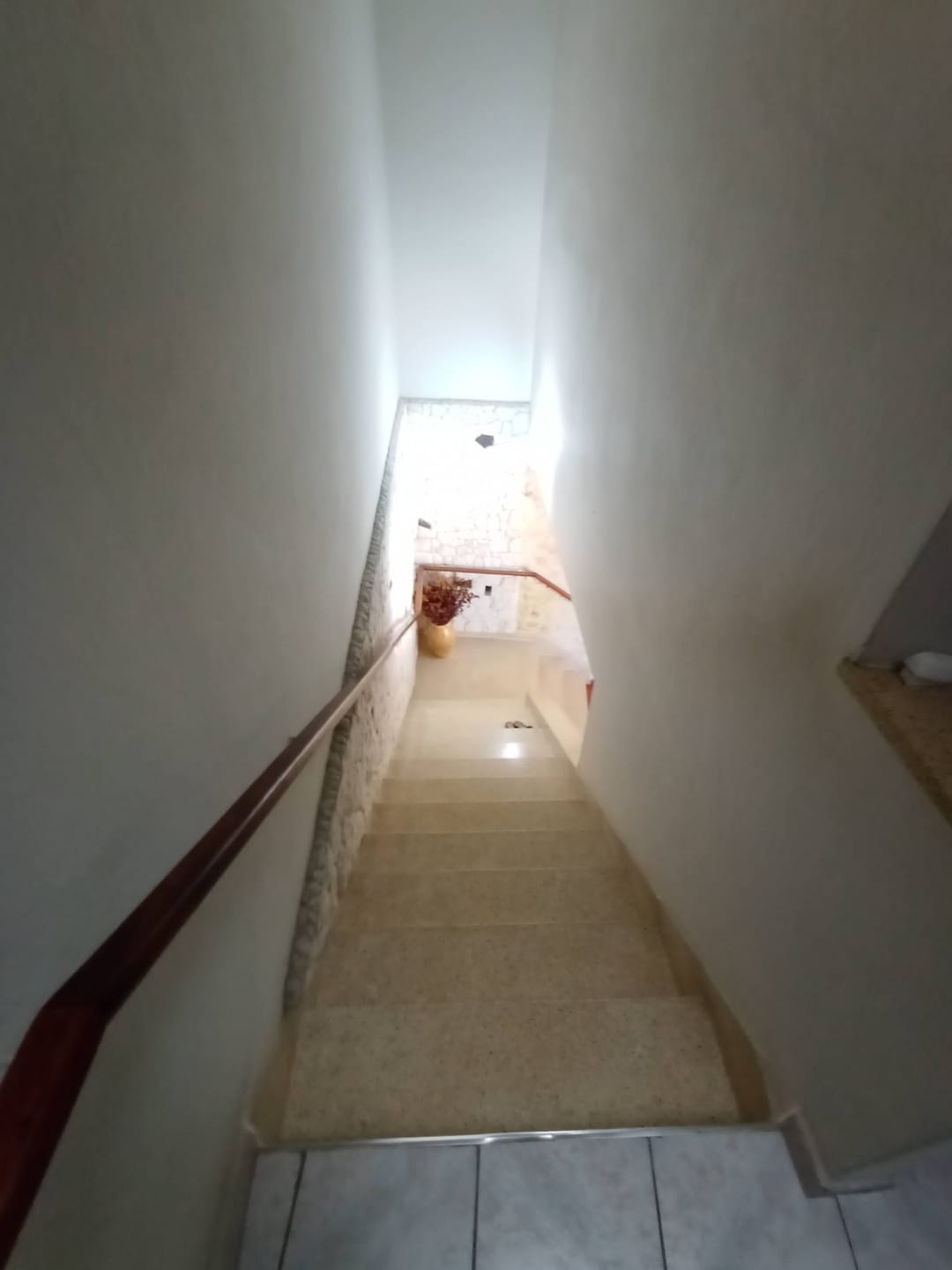 Casa, 5 quartos, 348 m² - Foto 26