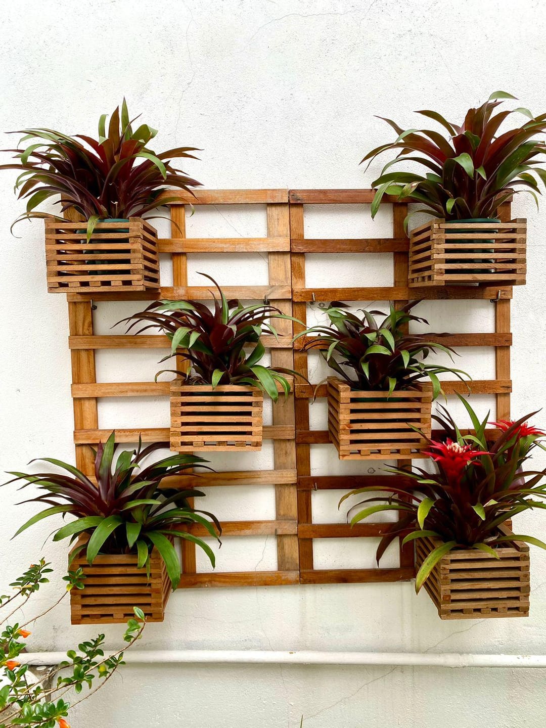 Casa, 3 quartos, 114 m² - Foto 12