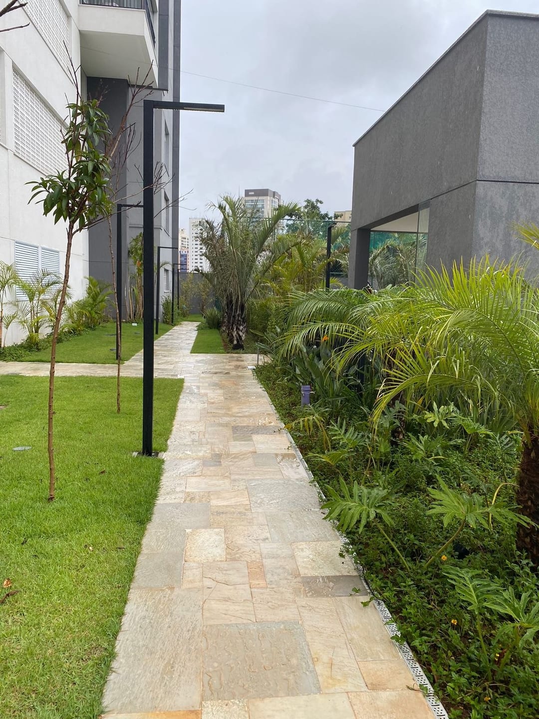 Apartamento, 3 quartos, 81 m² - Foto 6