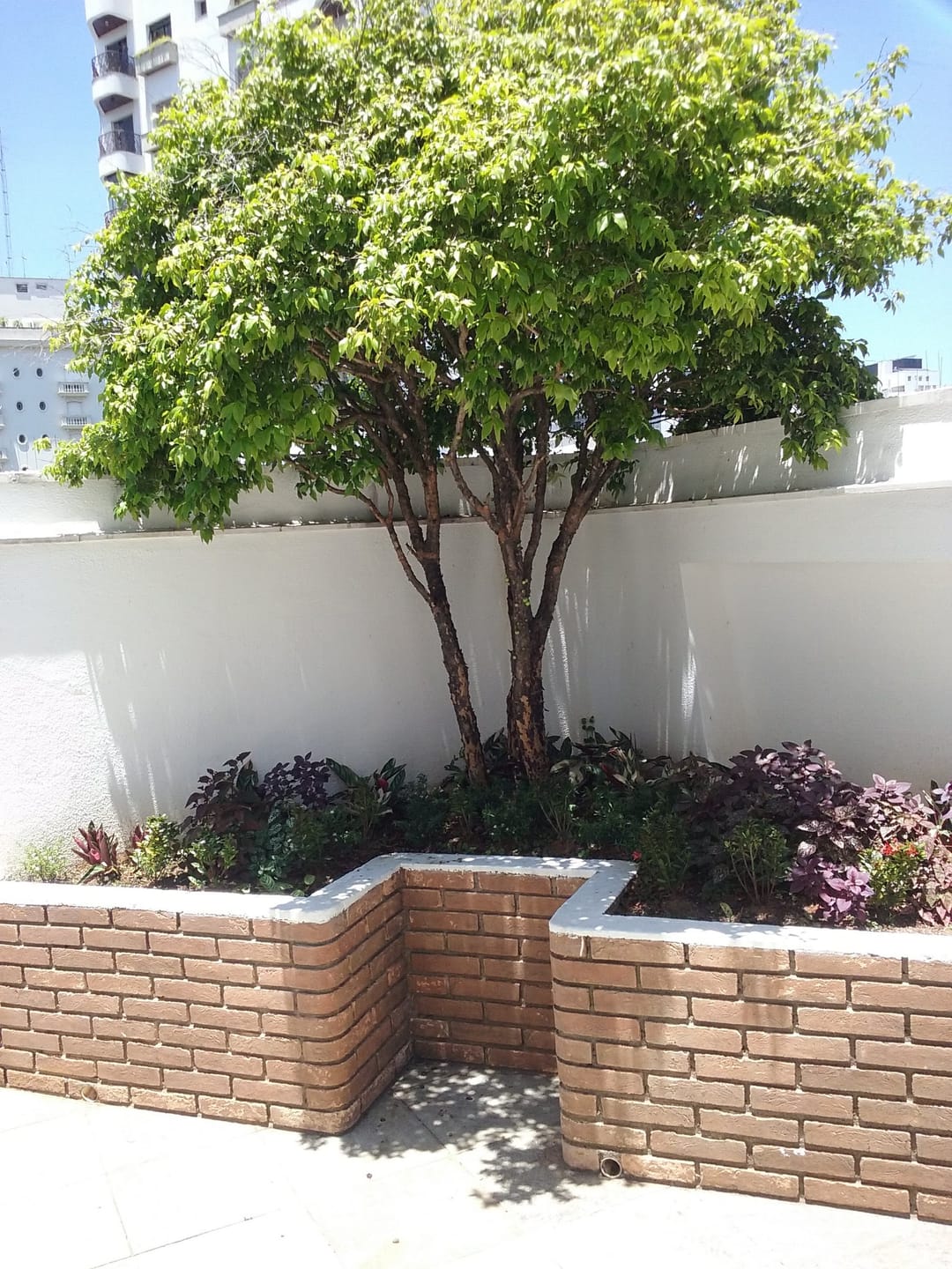 Apartamento, 3 quartos, 400 m² - Foto 3