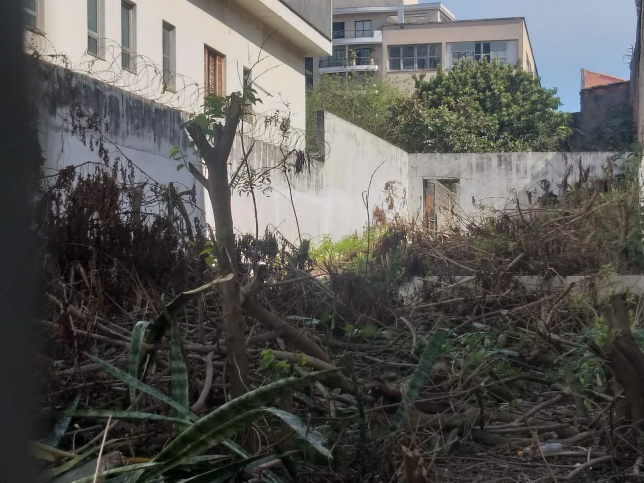 Terreno, 351 m² - Foto 7