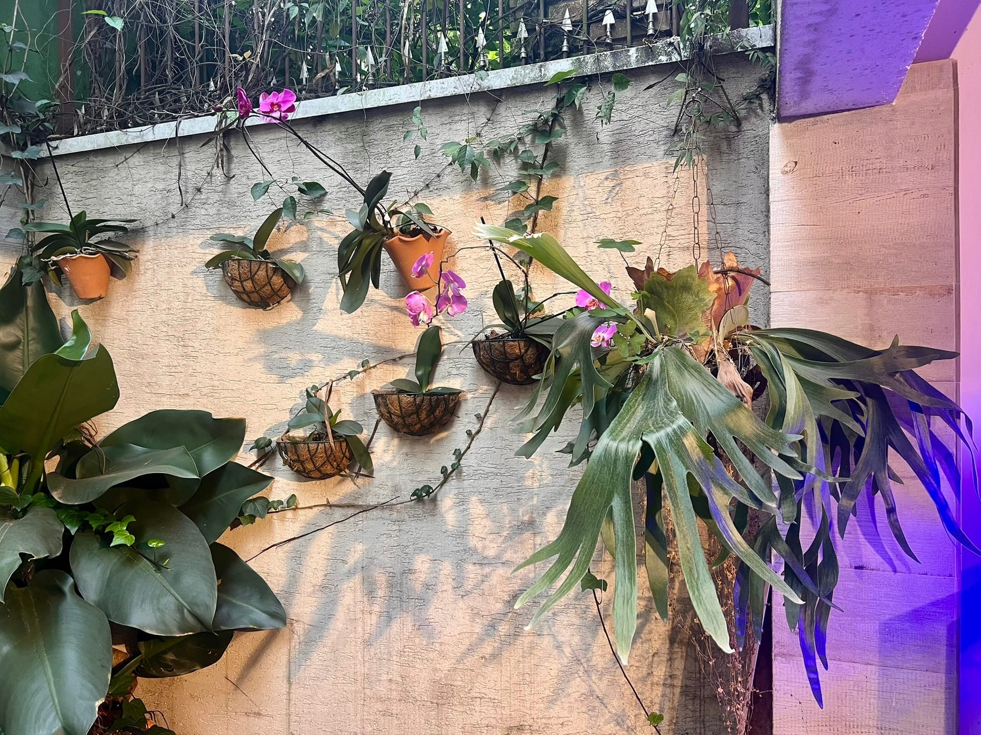 Casa, 3 quartos, 300 m² - Foto 2