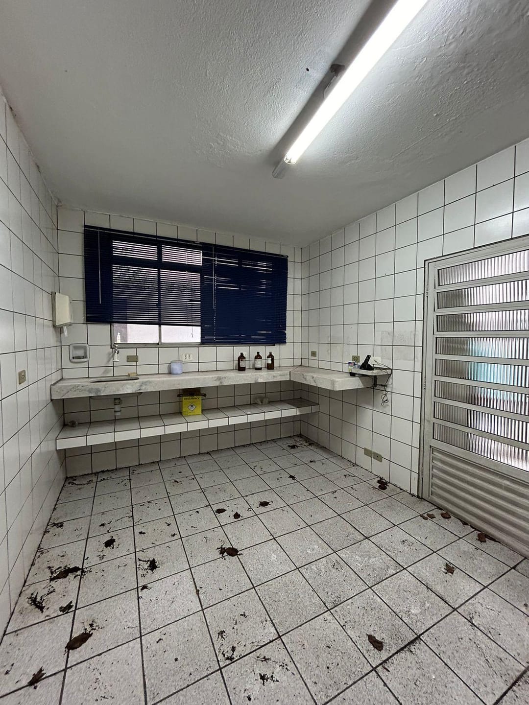 Casa, 5 quartos, 298 m² - Foto 6