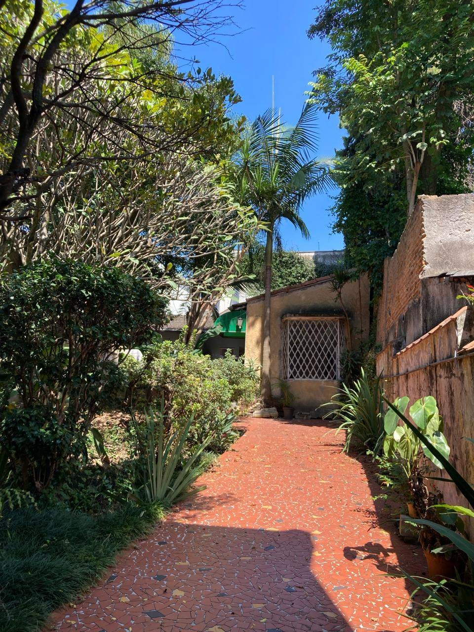 Casa, 4 quartos, 235 m² - Foto 14