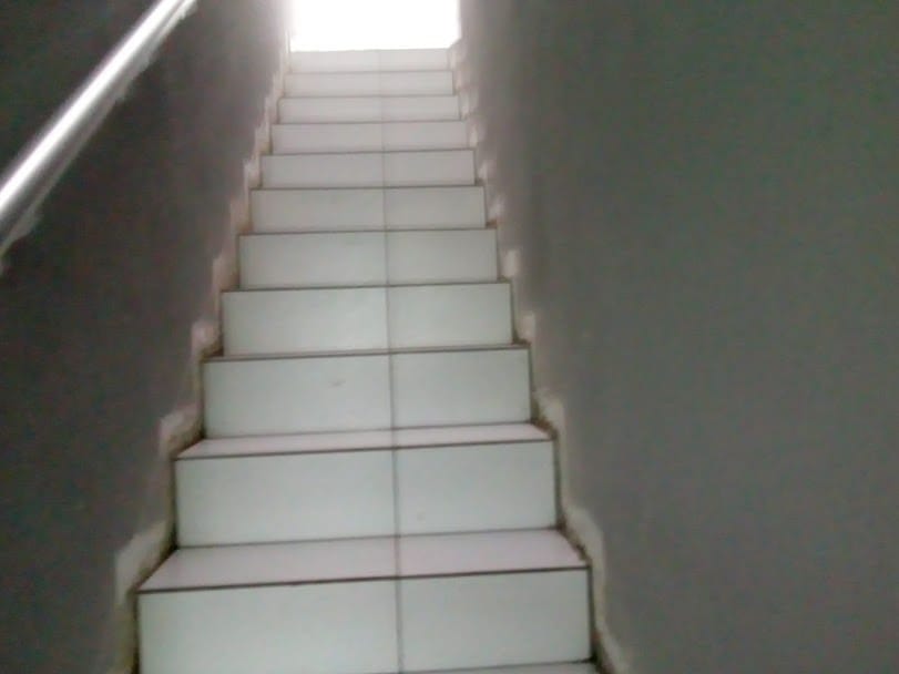 Casa, 4 quartos, 392 m² - Foto 20