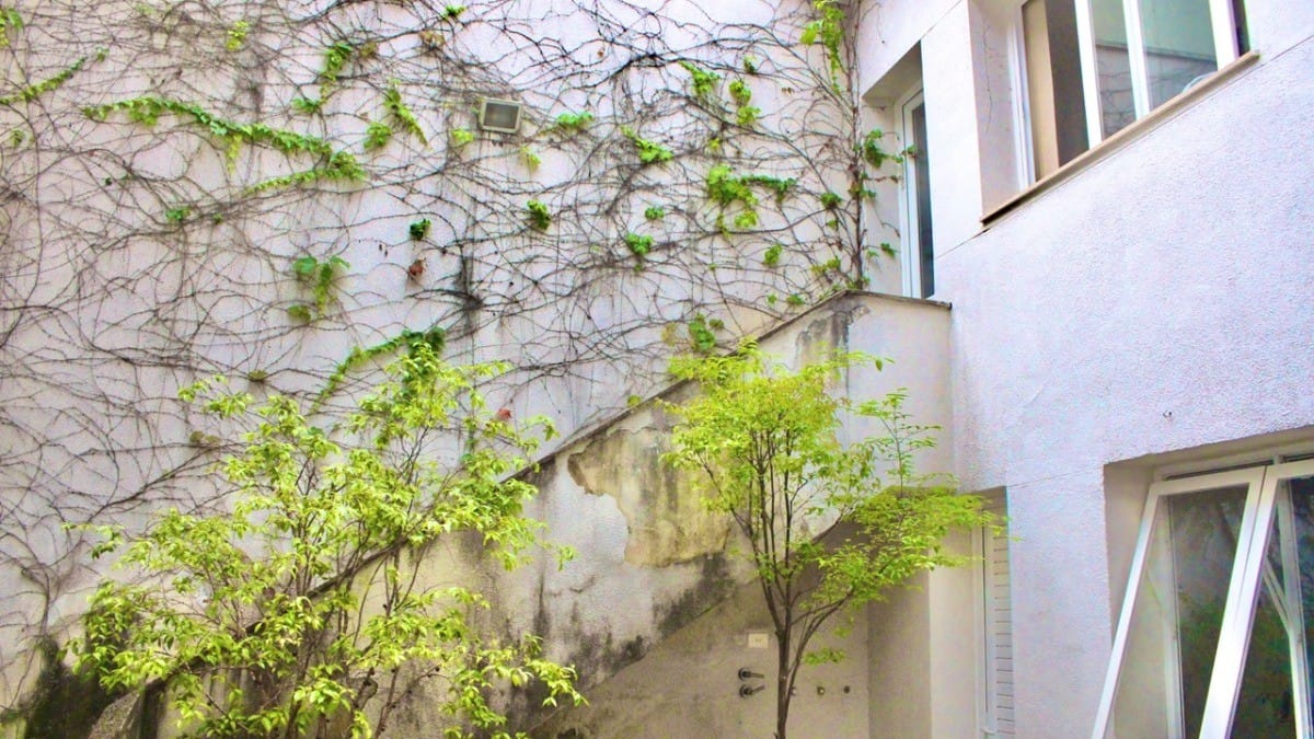 Casa, 3 quartos, 285 m² - Foto 28