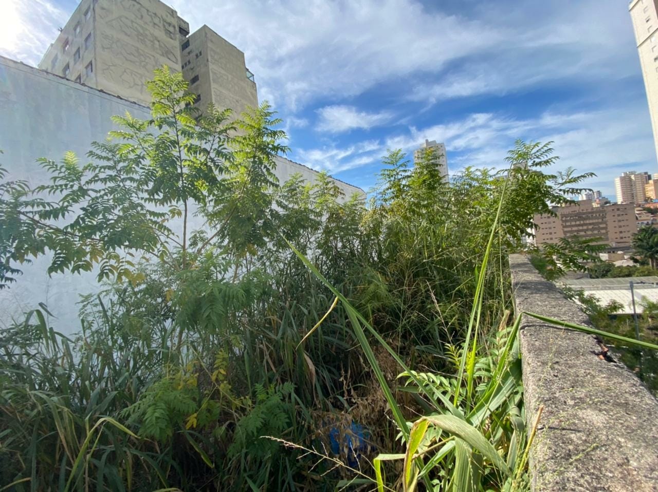 Terreno, 770 m² - Foto 2