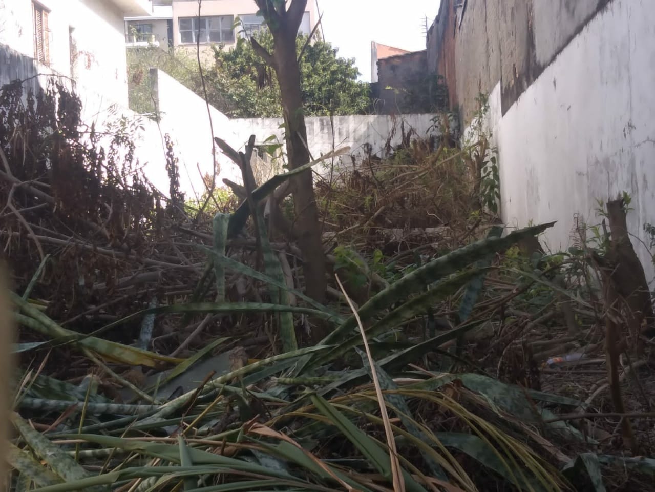 Terreno, 351 m² - Foto 3