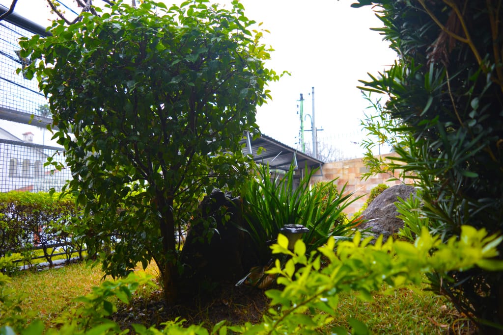 Casa, 3 quartos, 390 m² - Foto 13