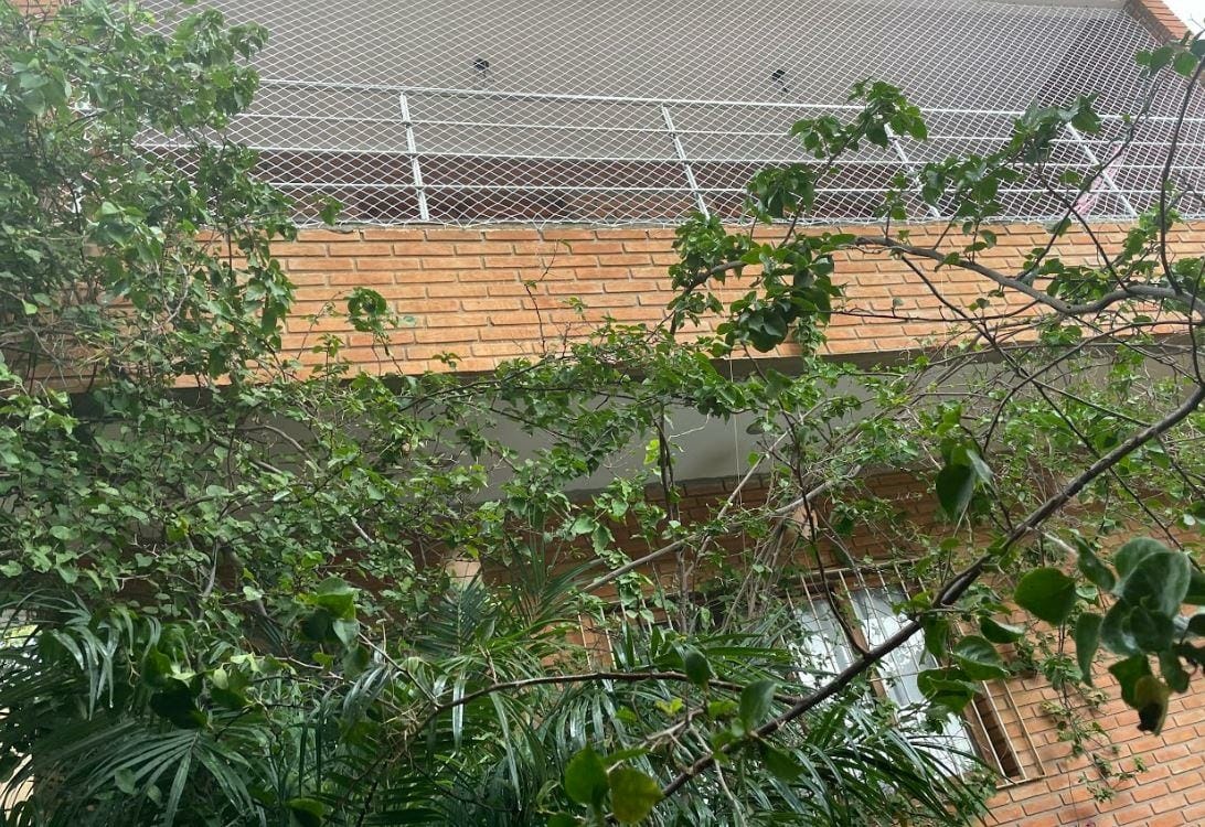 Casa, 5 quartos, 250 m² - Foto 10