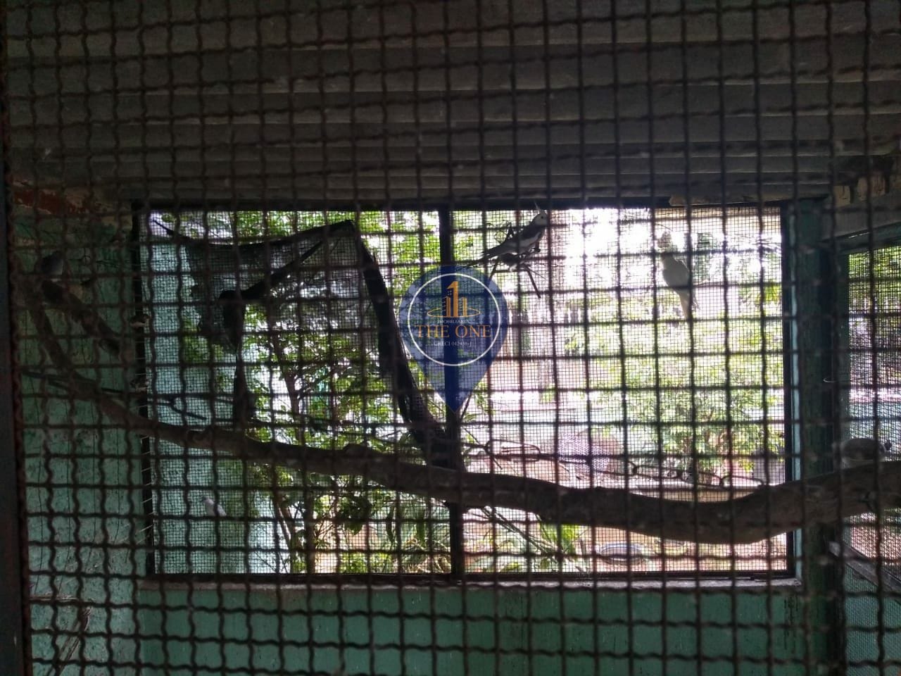 Casa, 4 quartos, 350 m² - Foto 14