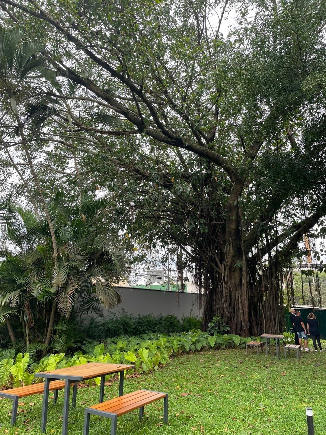 Apartamento, 2 quartos, 66 m² - Foto 27