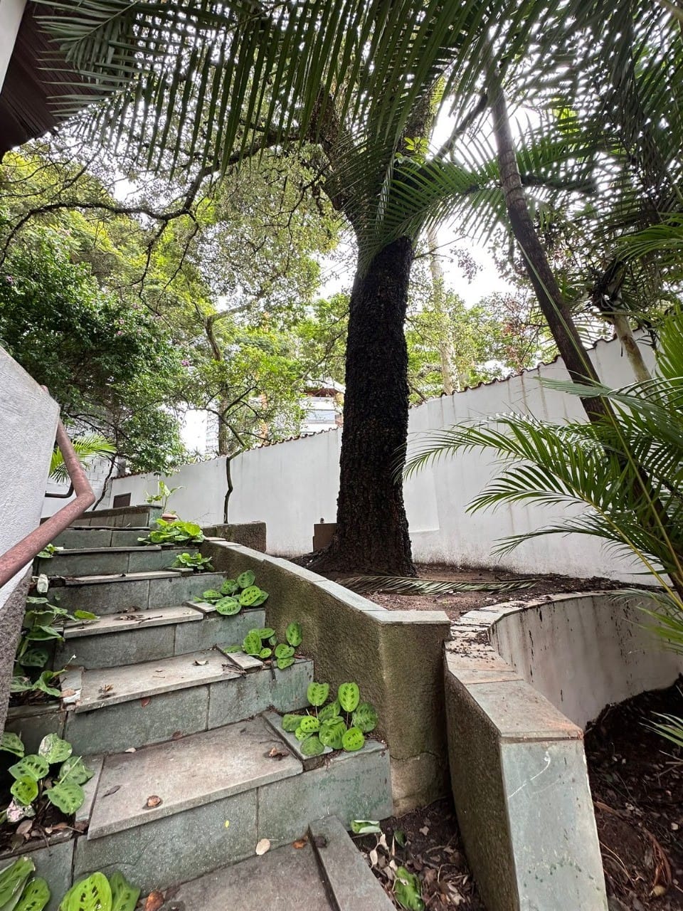 Casa, 3 quartos, 300 m² - Foto 15