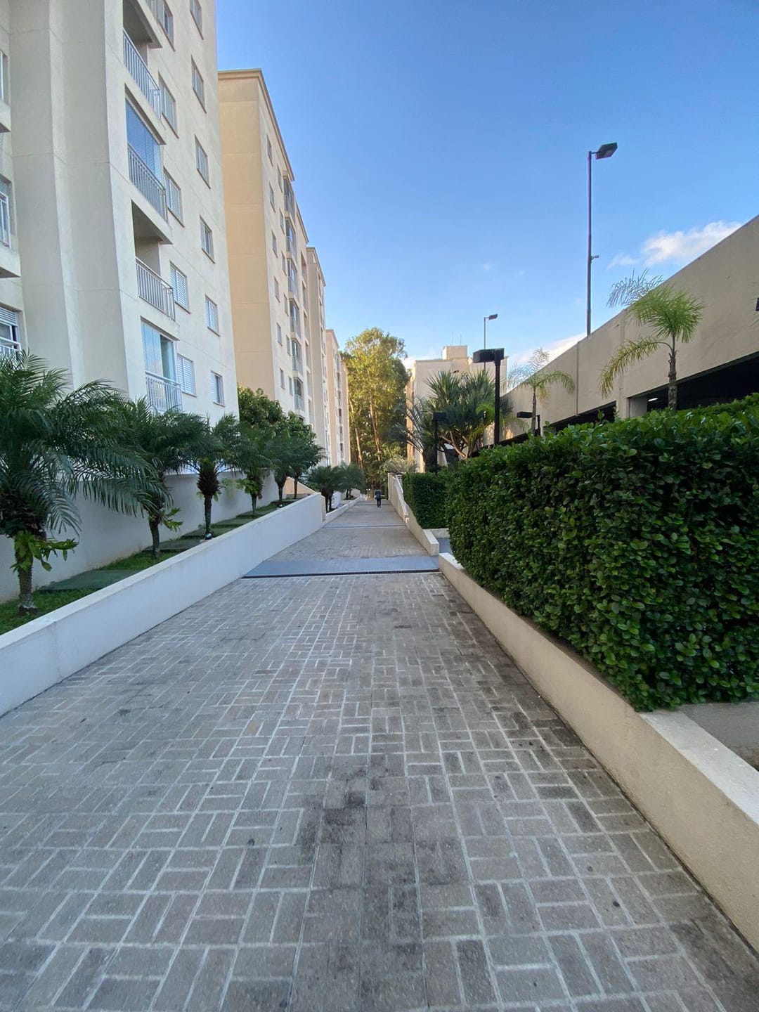 Apartamento, 3 quartos, 80 m² - Foto 1