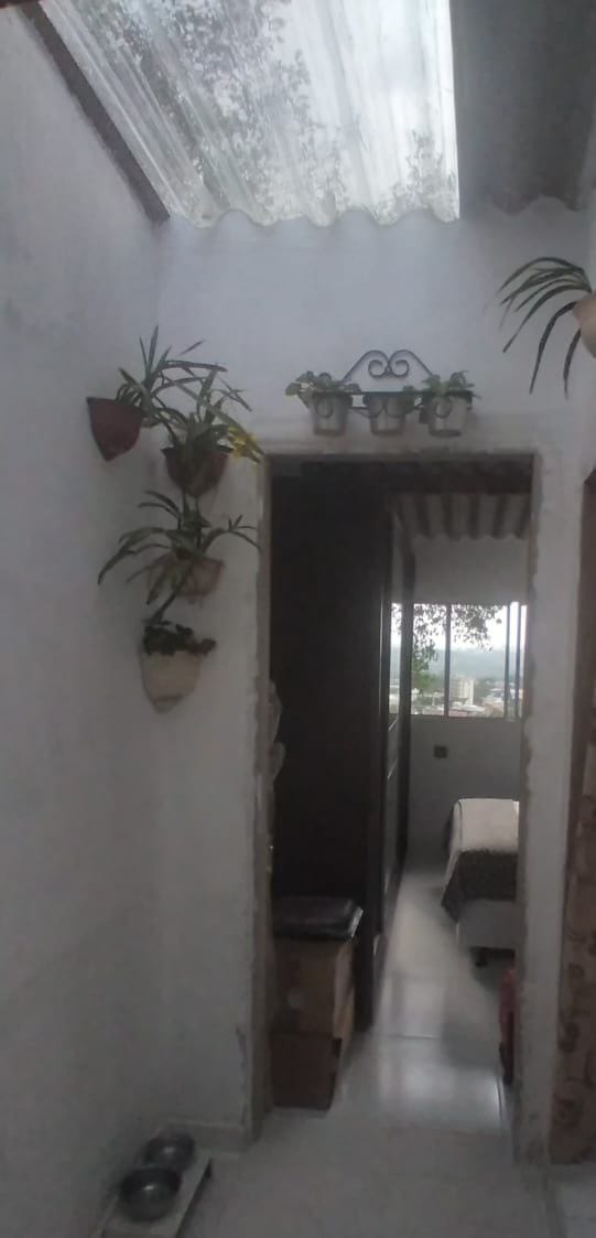 Casa, 6 quartos, 224 m² - Foto 30