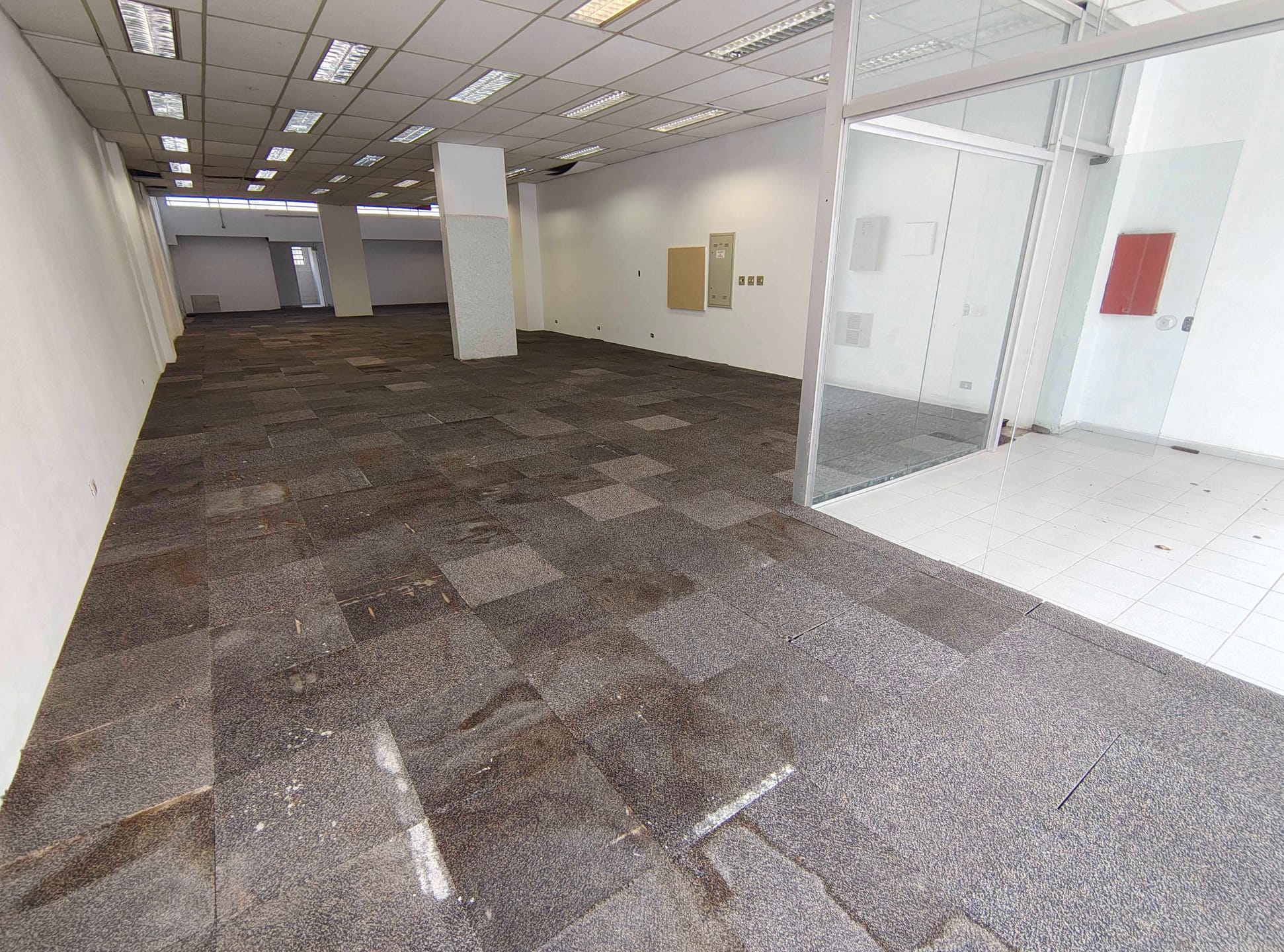 Loja-Salão, 230 m² - Foto 2