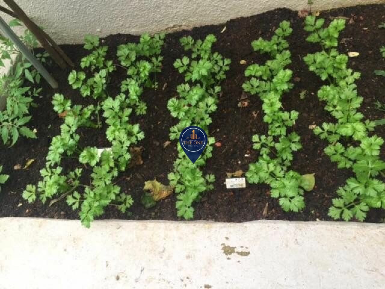 Apartamento, 3 quartos, 100 m² - Foto 21