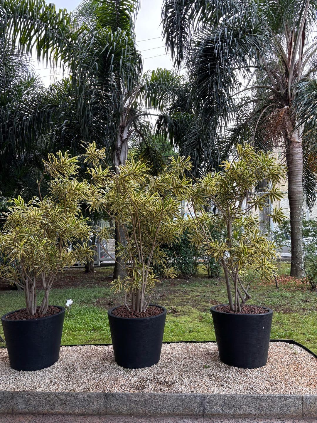 Sala-Conjunto, 34 m² - Foto 23