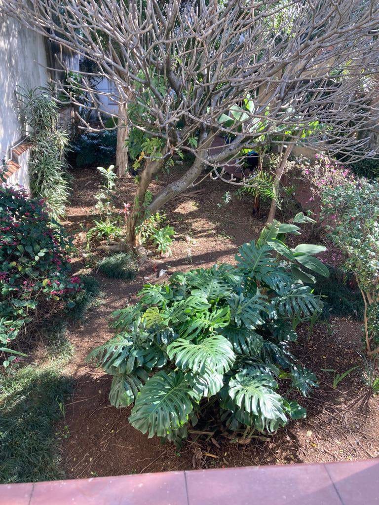 Casa, 4 quartos, 235 m² - Foto 4