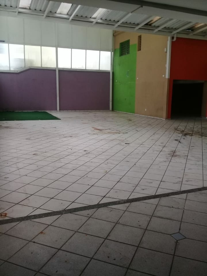 Casa, 4 quartos, 610 m² - Foto 7