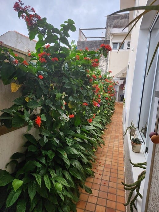 Casa, 3 quartos, 189 m² - Foto 22