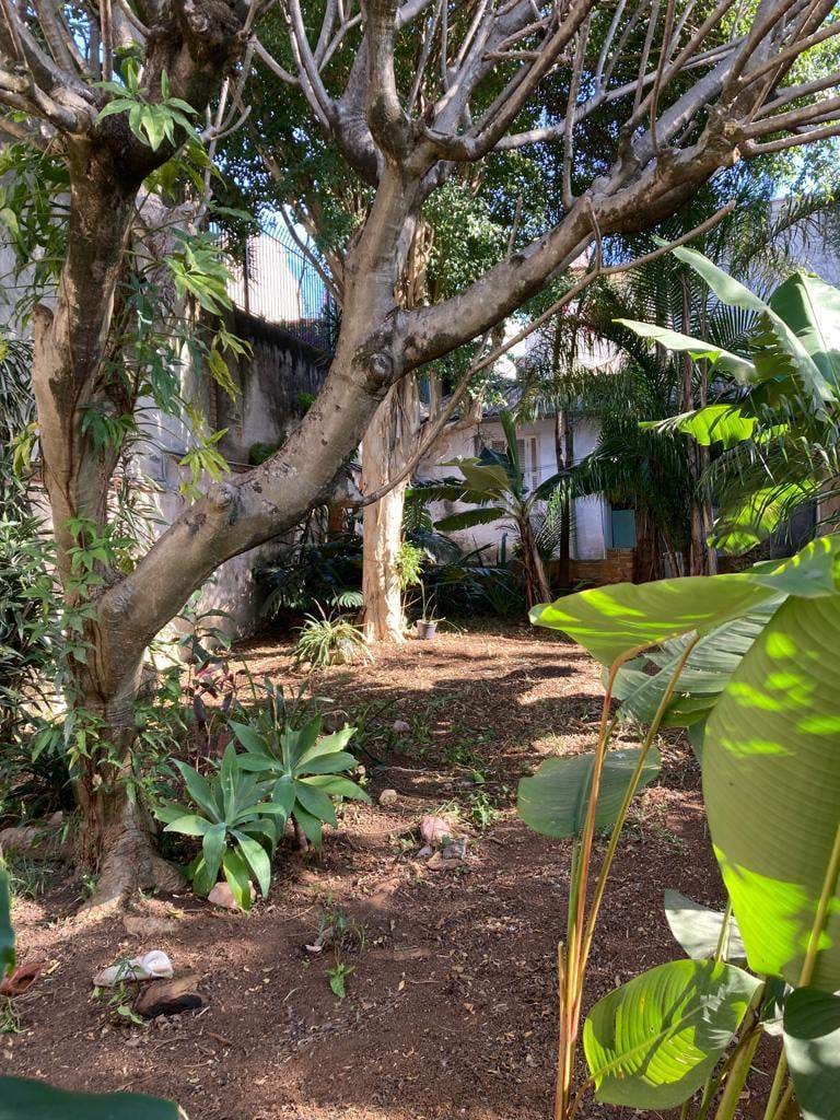 Casa, 4 quartos, 235 m² - Foto 3