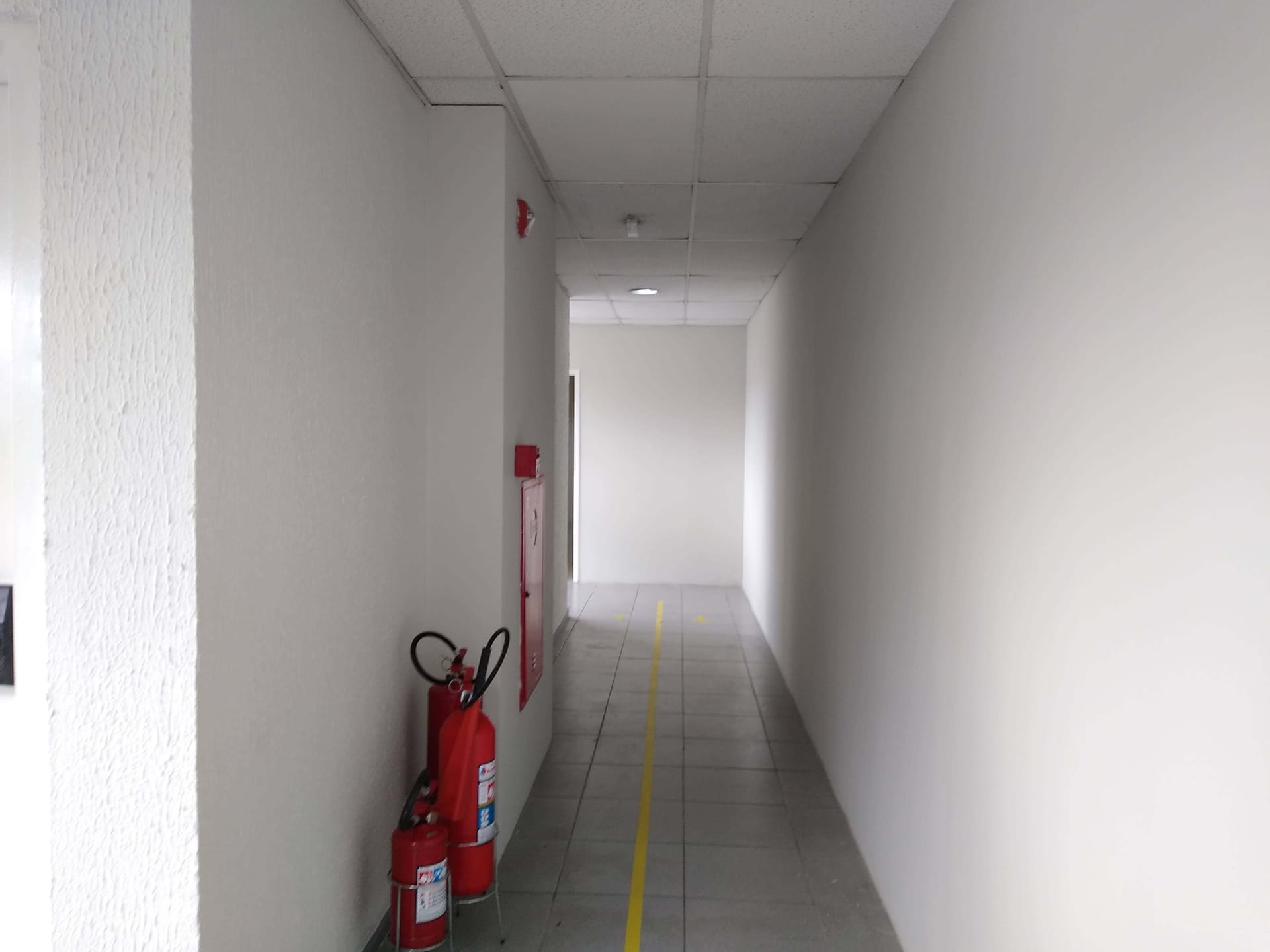 Prédio Inteiro, 4816 m² - Foto 17