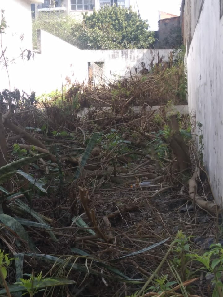 Terreno, 351 m² - Foto 4