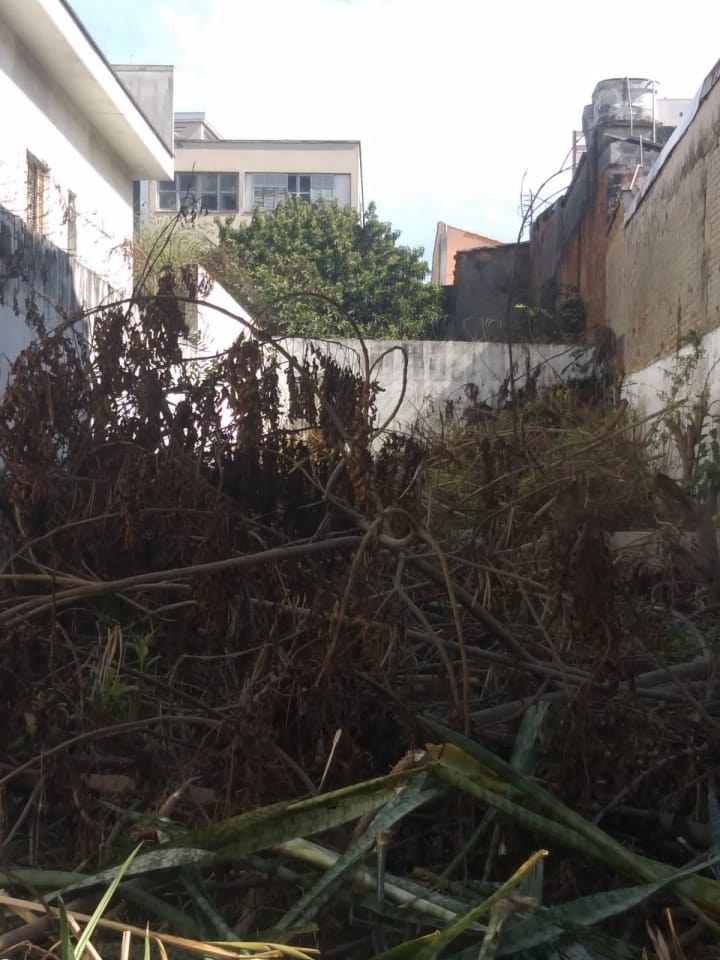 Terreno, 351 m² - Foto 5