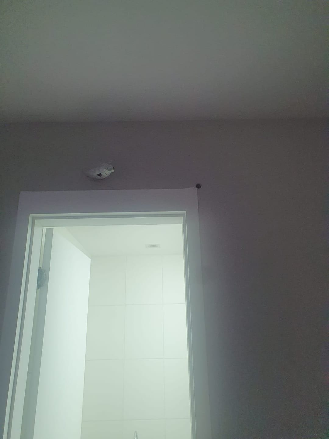 Apartamento, 1 quarto, 36 m² - Foto 6