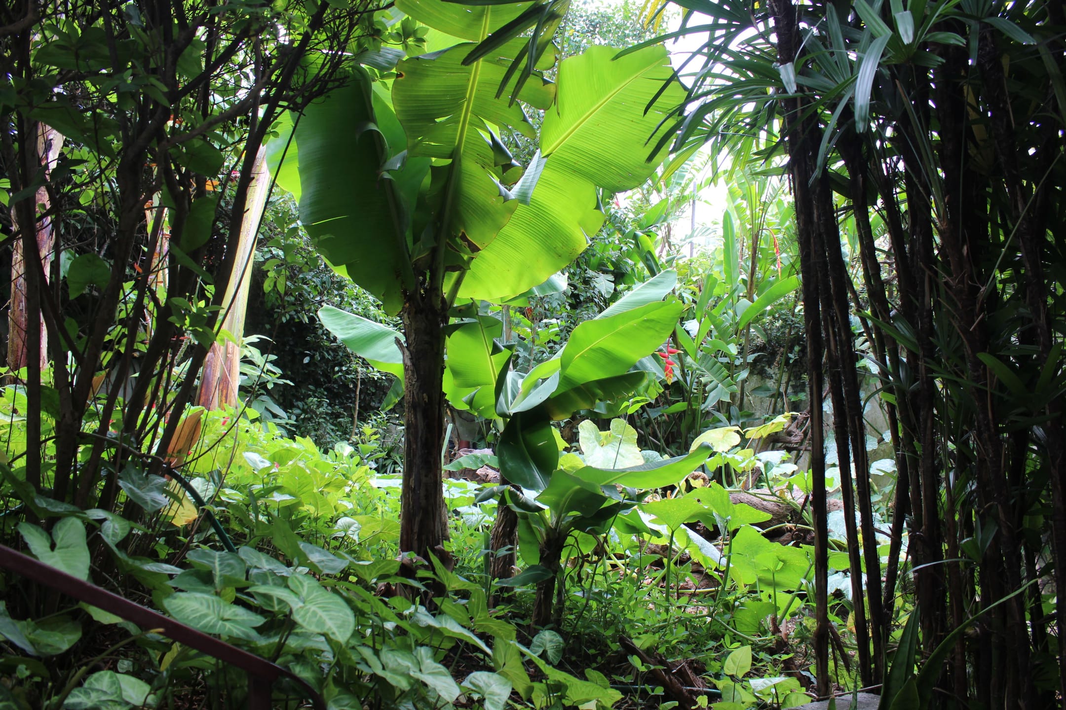 Casa, 4 quartos, 262 m² - Foto 10