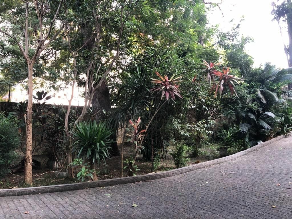 Casa, 8 quartos, 1465 m² - Foto 1