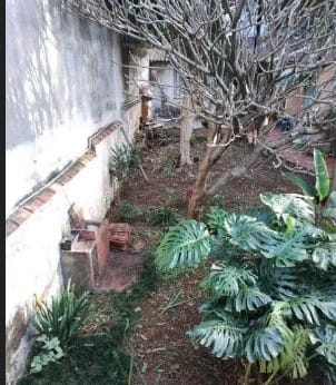 Casa, 4 quartos, 235 m² - Foto 1