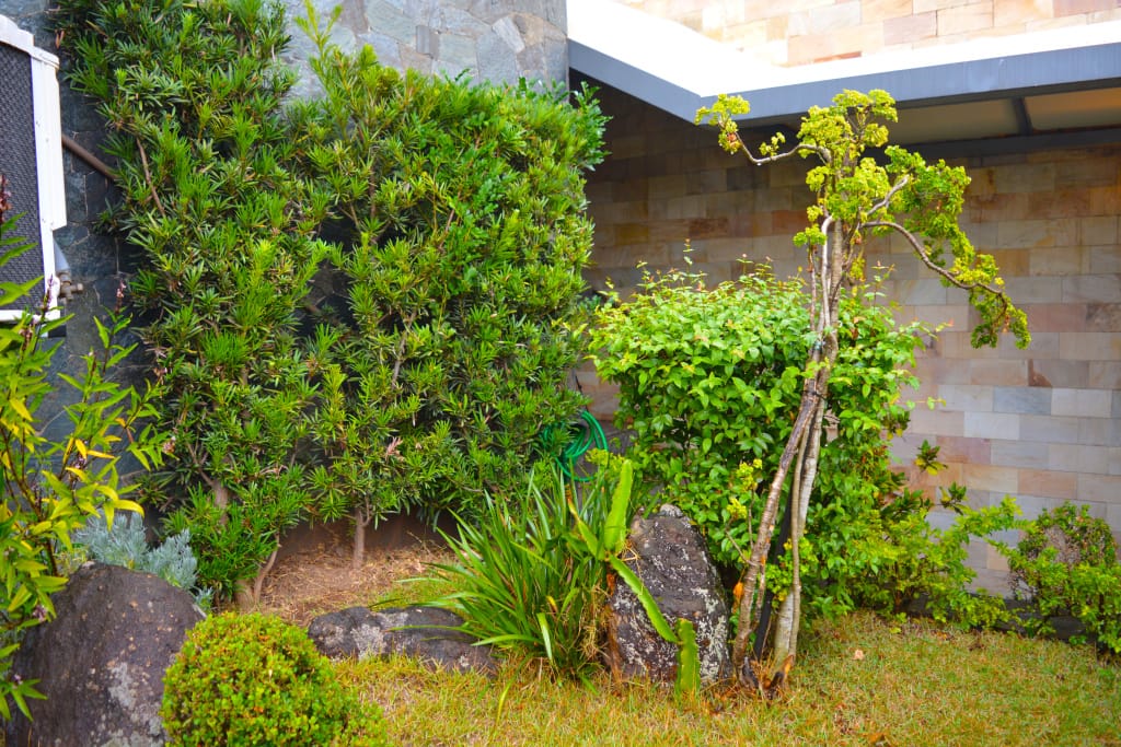 Casa, 3 quartos, 390 m² - Foto 3