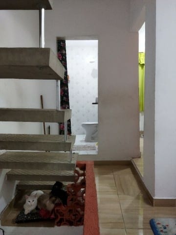 Casa, 3 quartos, 150 m² - Foto 2